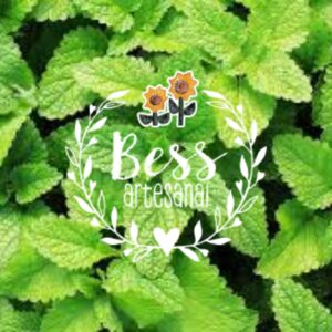 Menta Deshidratada  50g