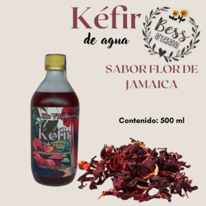 Kéfir de agua sabor Flor de Jamaica (500 ml)